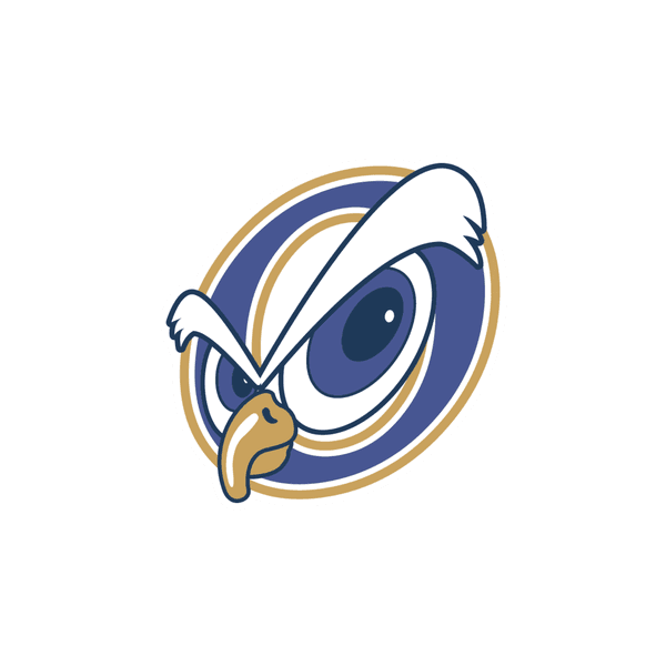 AIP Fighting Owls