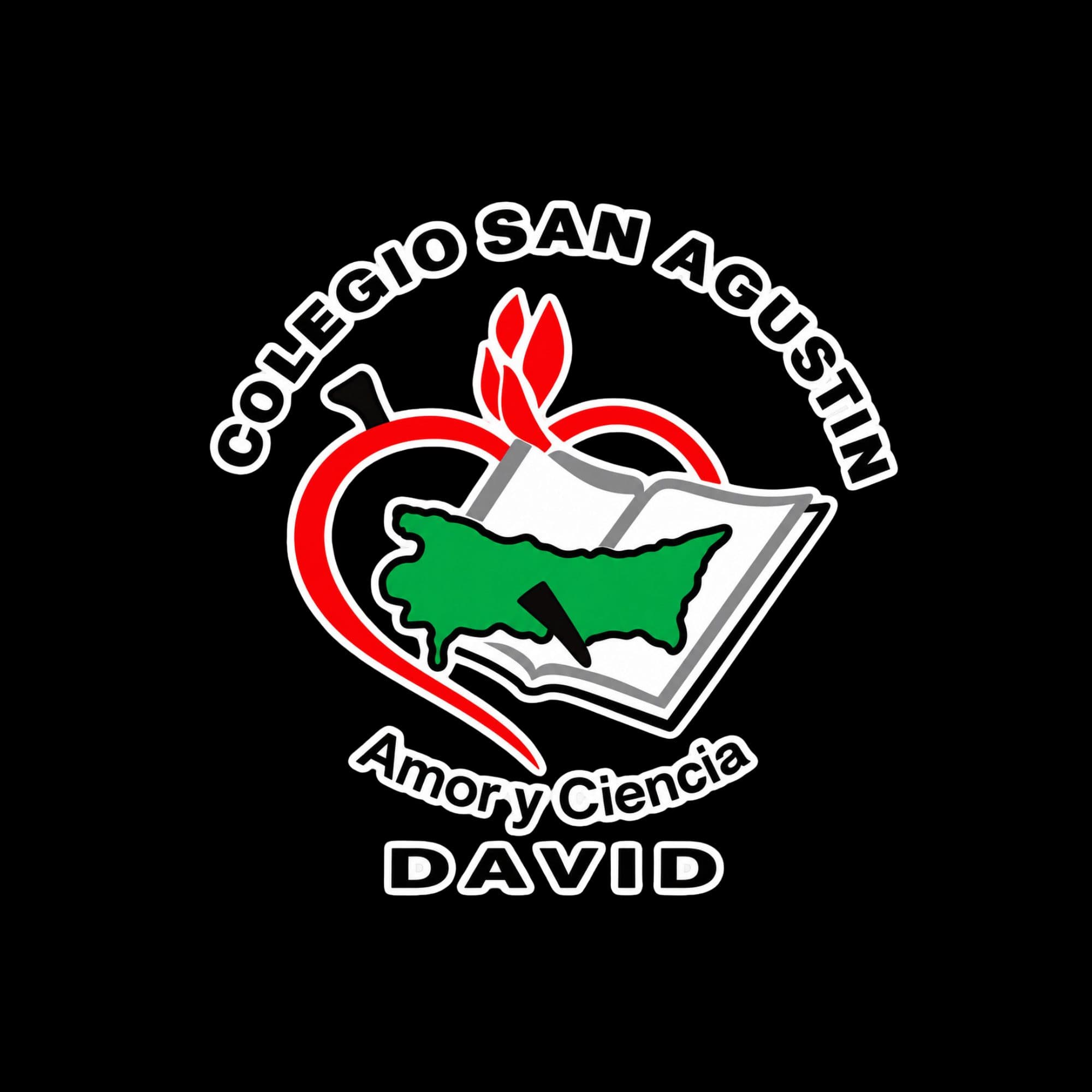 Colegio San Agustín David