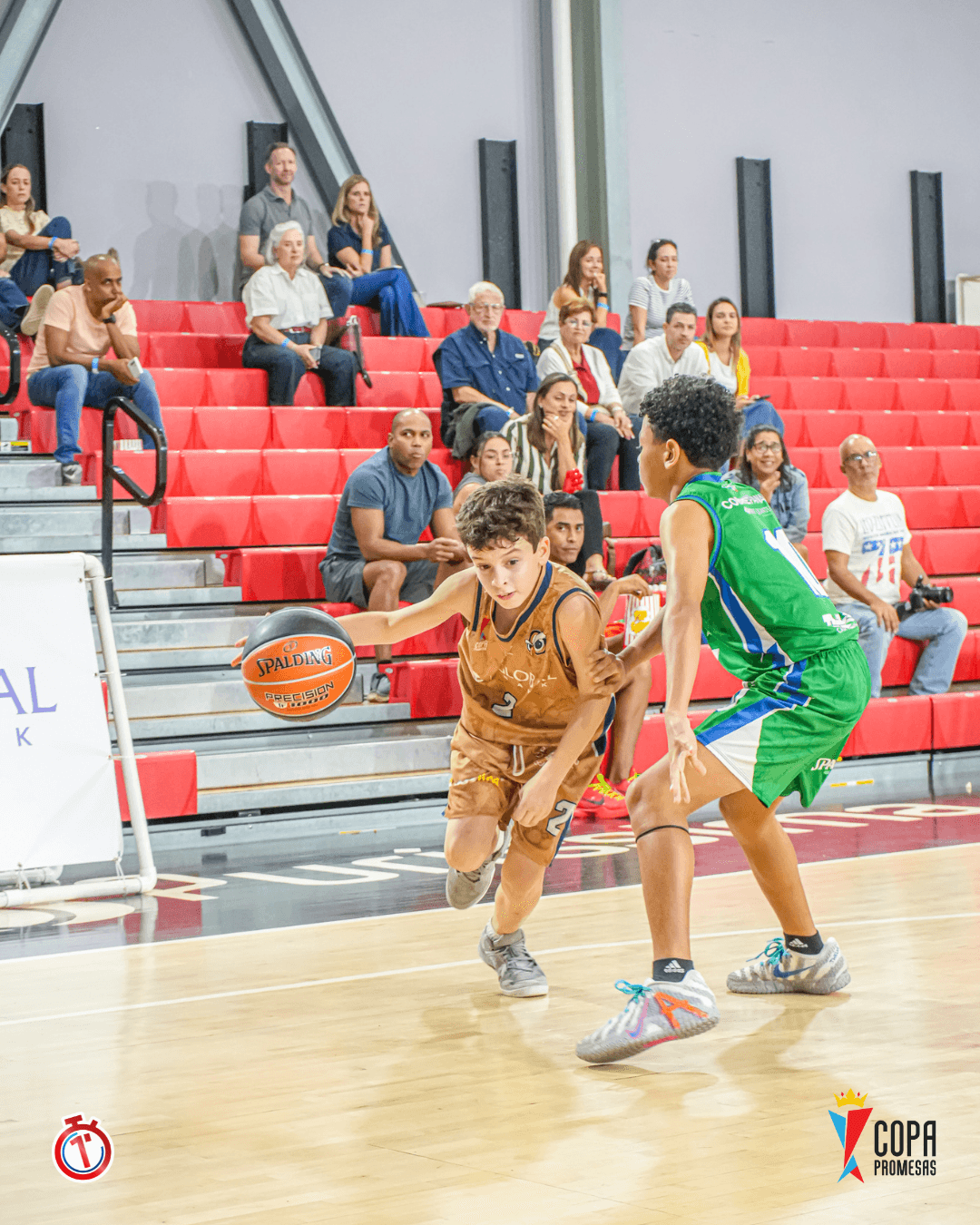 Wild Lynx vs AIP Fighting Owls — foto 1