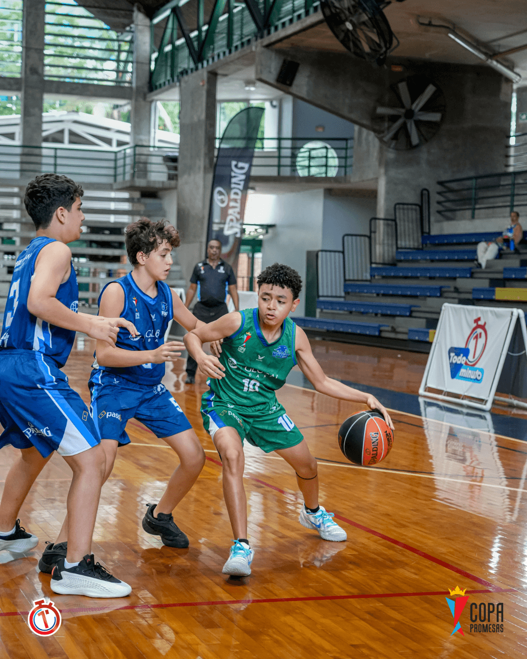Hawks vs Wild Lynx — foto 1