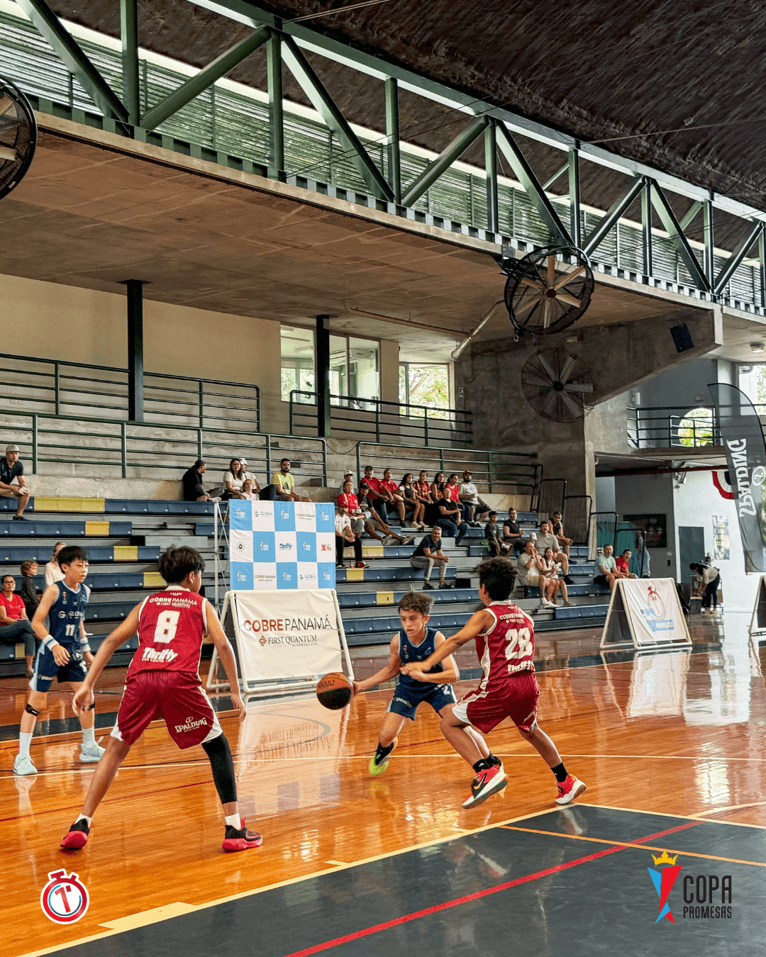 Dragons vs Mustang — foto 1