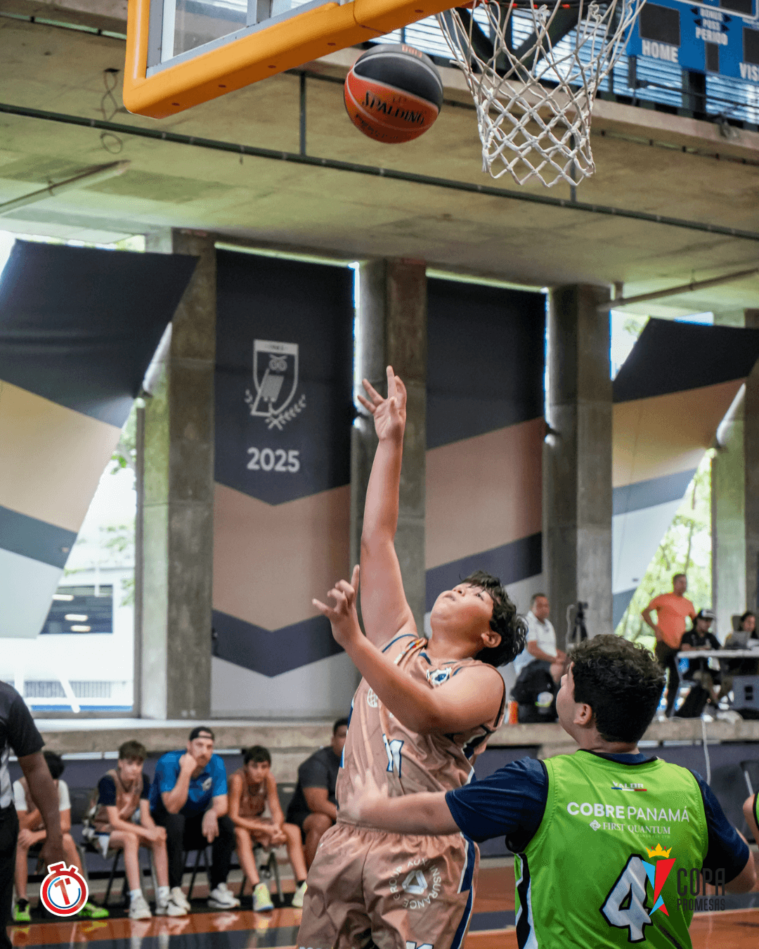 AIP Fighting Owls vs Green Panthers — foto 10