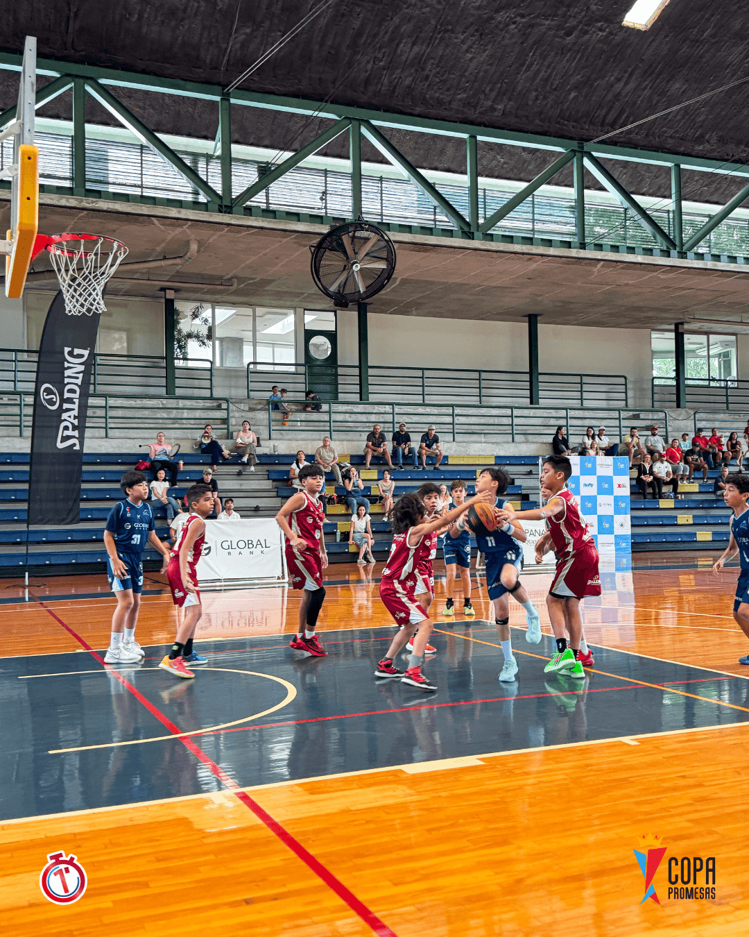 Dragons vs Mustang — foto 12