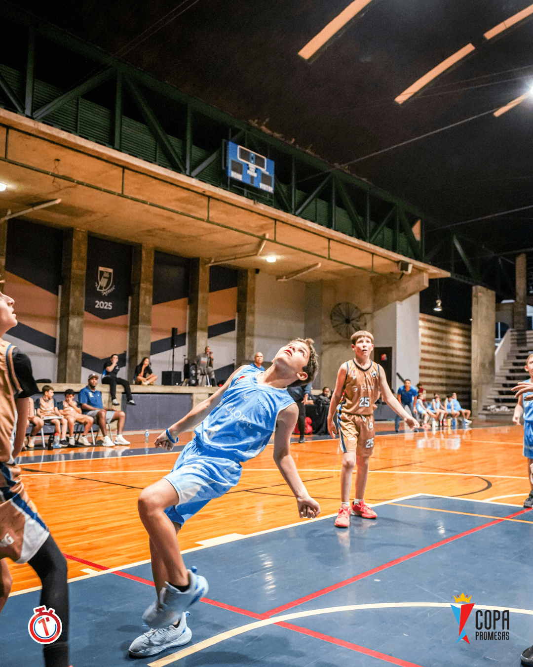IAE Titans vs AIP Fighting Owls — foto 15