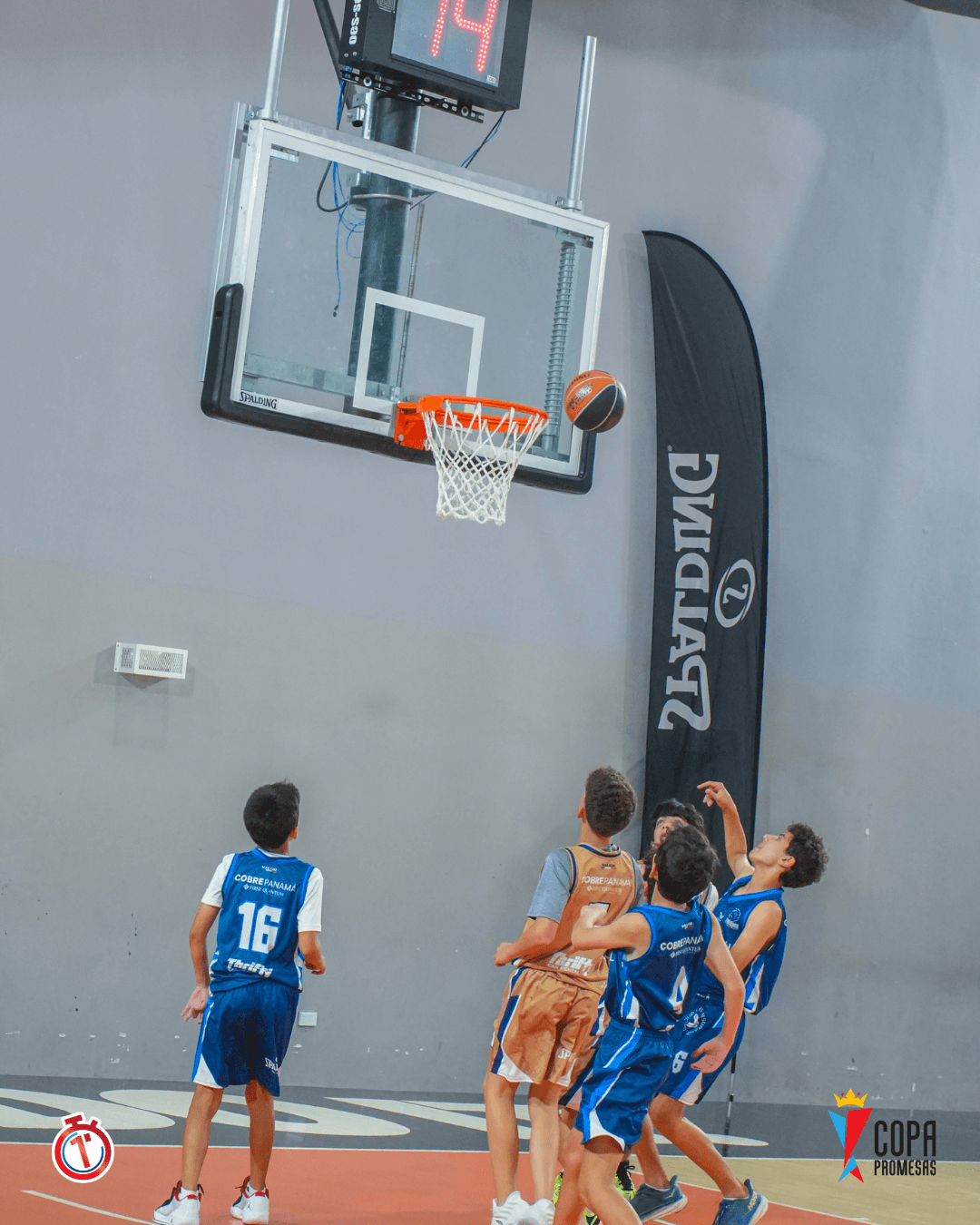 AIP Fighting Owls vs Hawks — foto 15