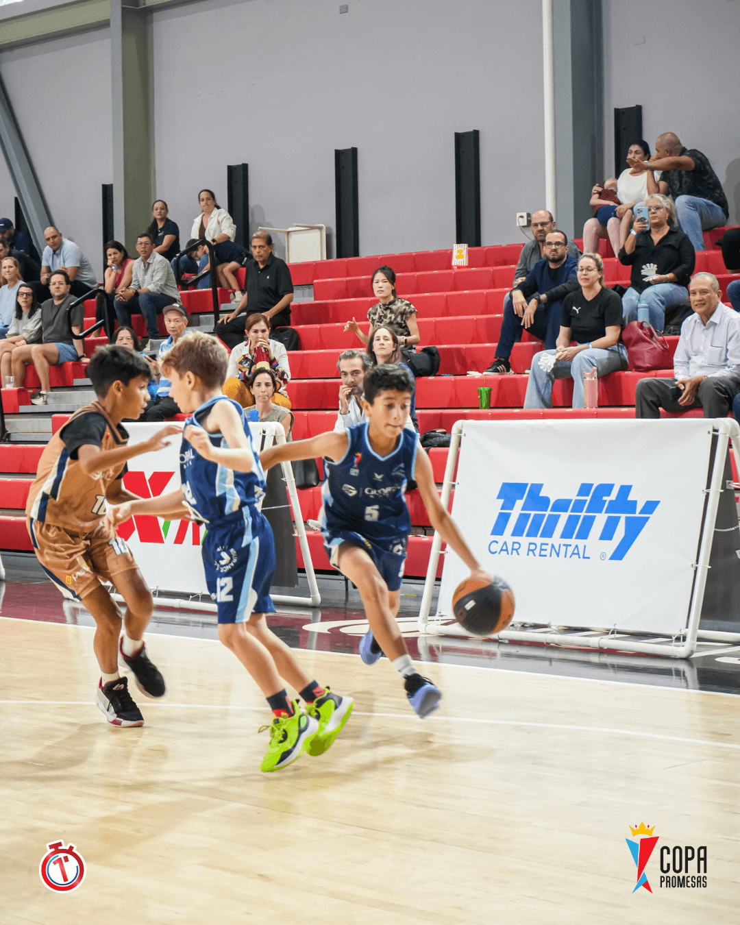 Dragons vs AIP Fighting Owls — foto 17