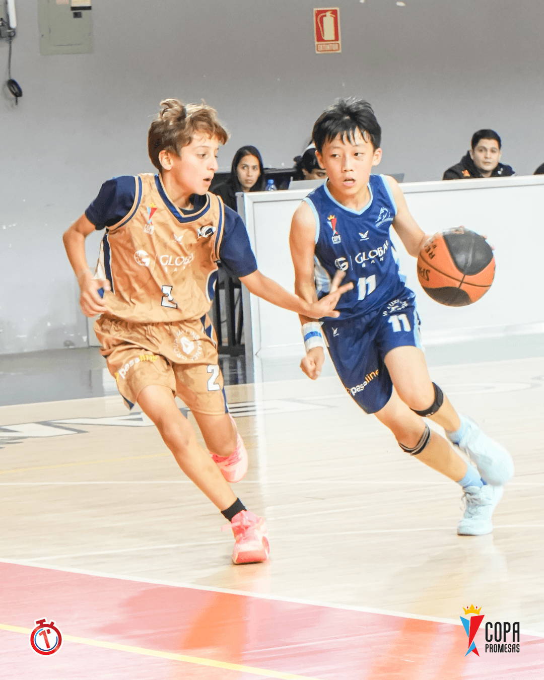 Dragons vs AIP Fighting Owls — foto 18