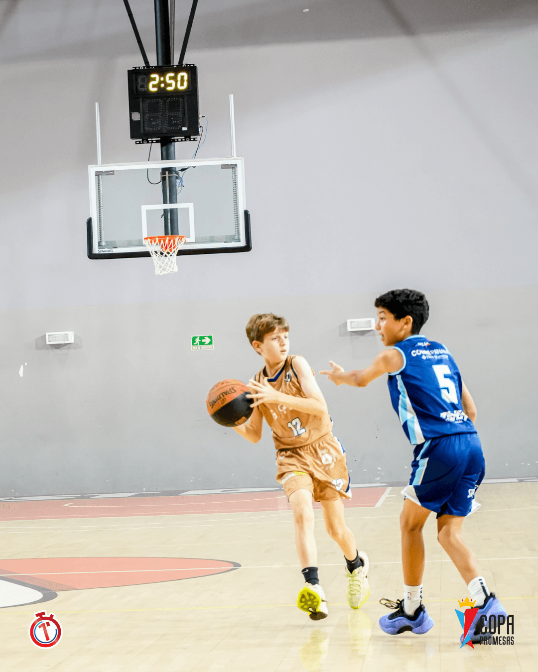 Dragons vs AIP Fighting Owls — foto 2