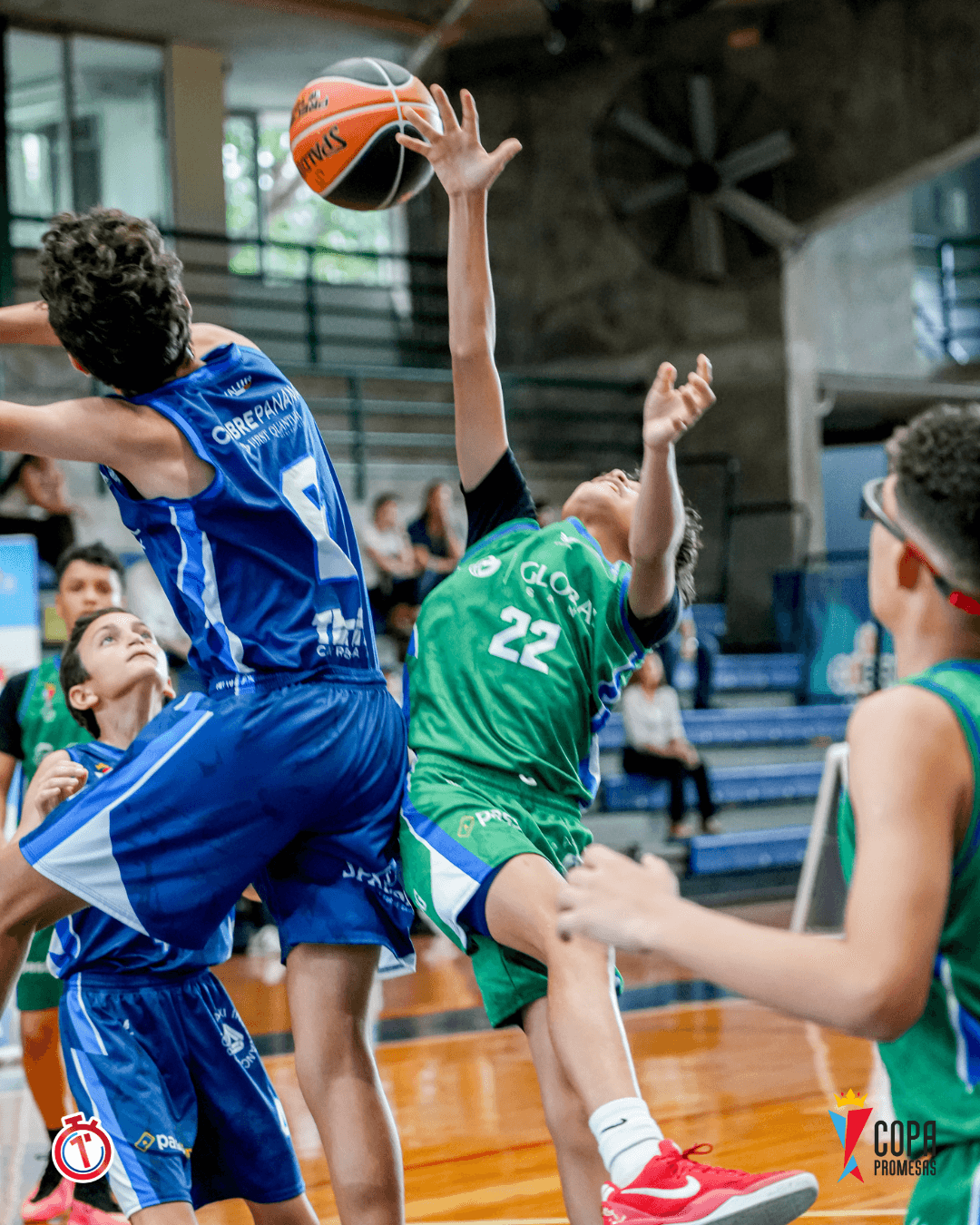 Hawks vs Wild Lynx — foto 2