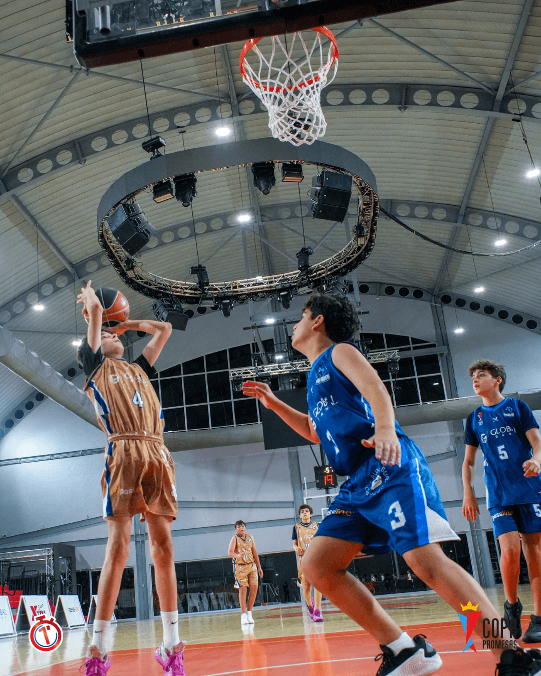 AIP Fighting Owls vs Hawks — foto 2