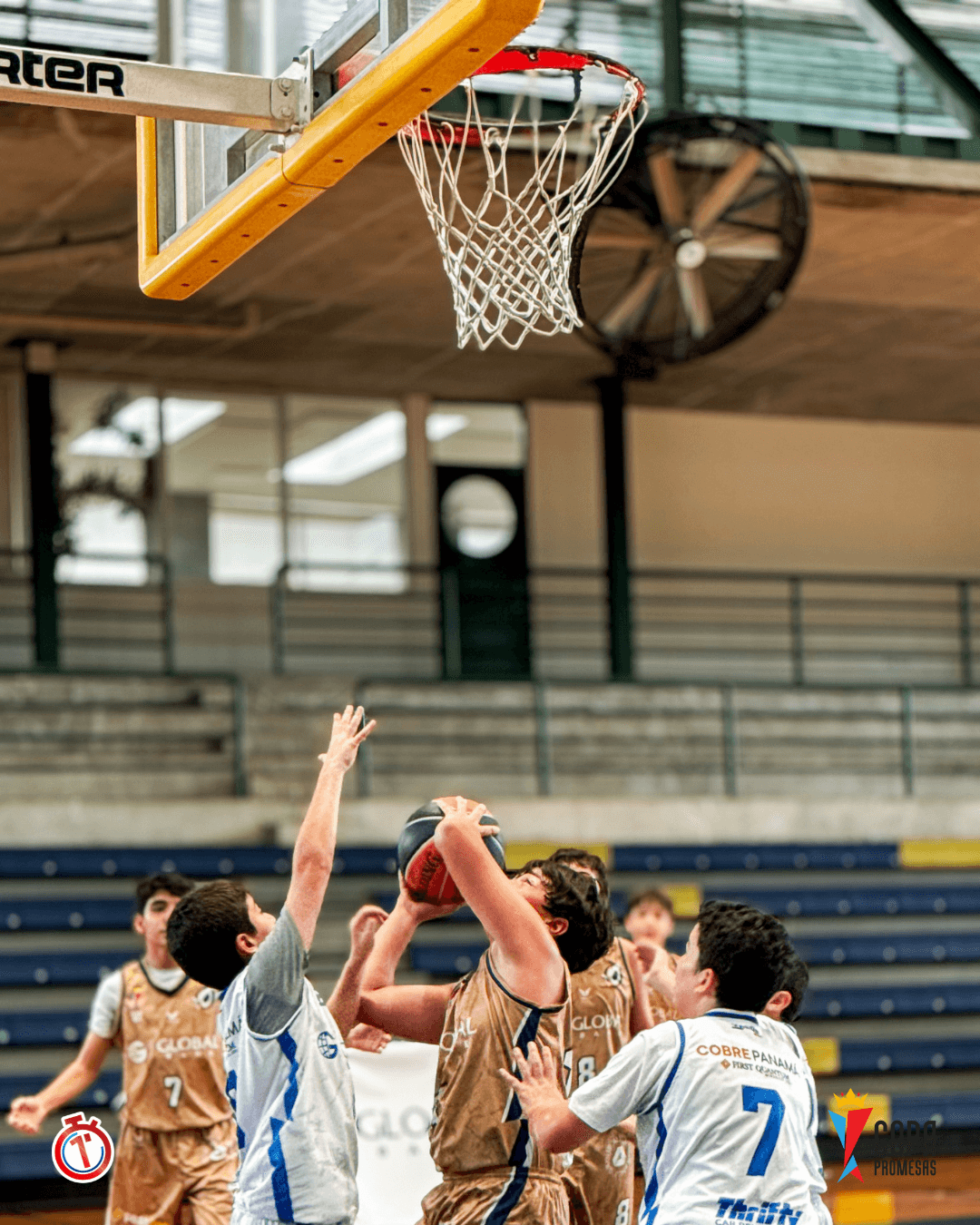 AIP Fighting Owls vs AHP Legends — foto 4