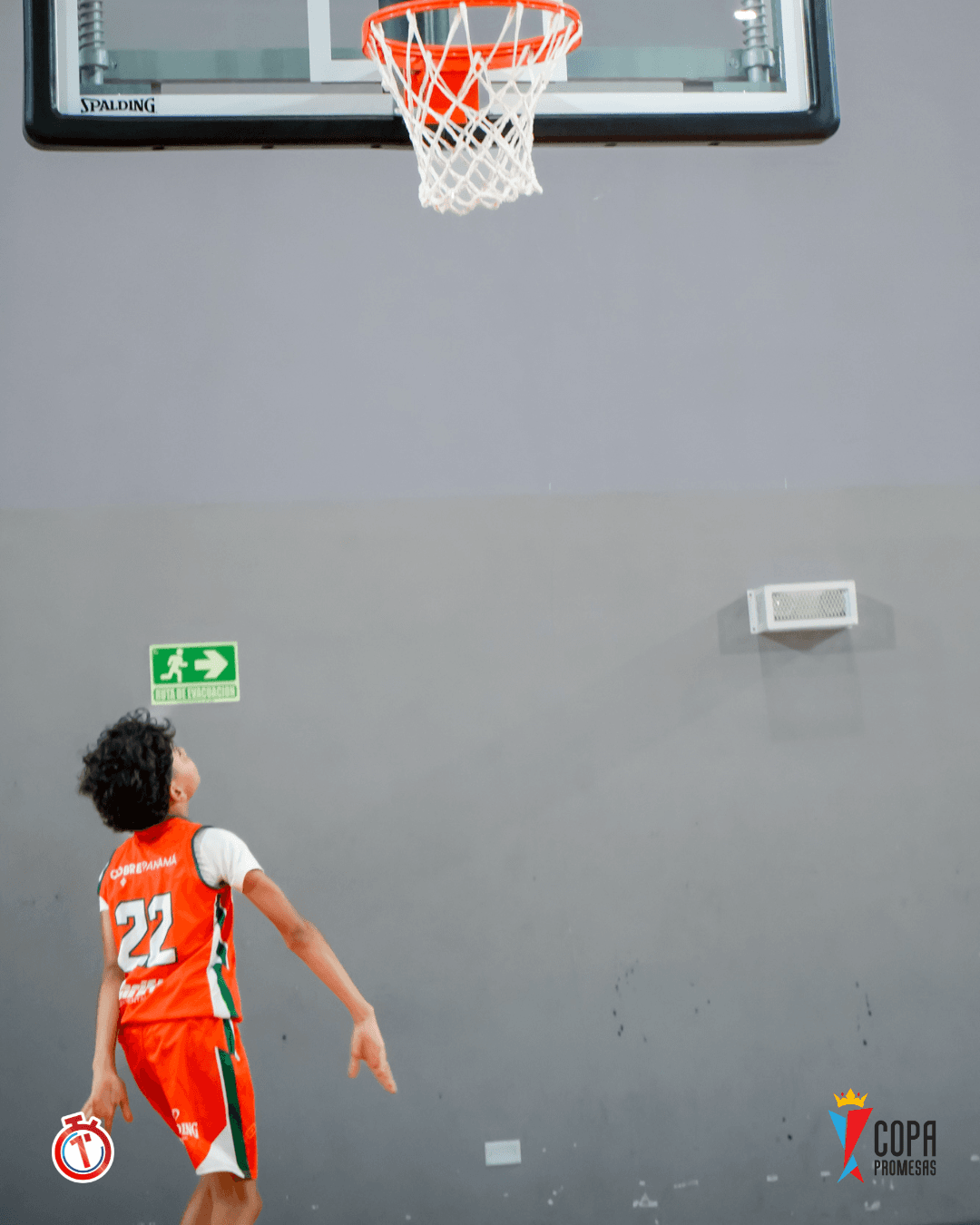Wild Lynx vs Hawks — foto 4
