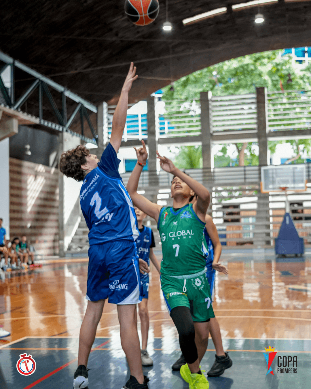 Hawks vs Wild Lynx — foto 5