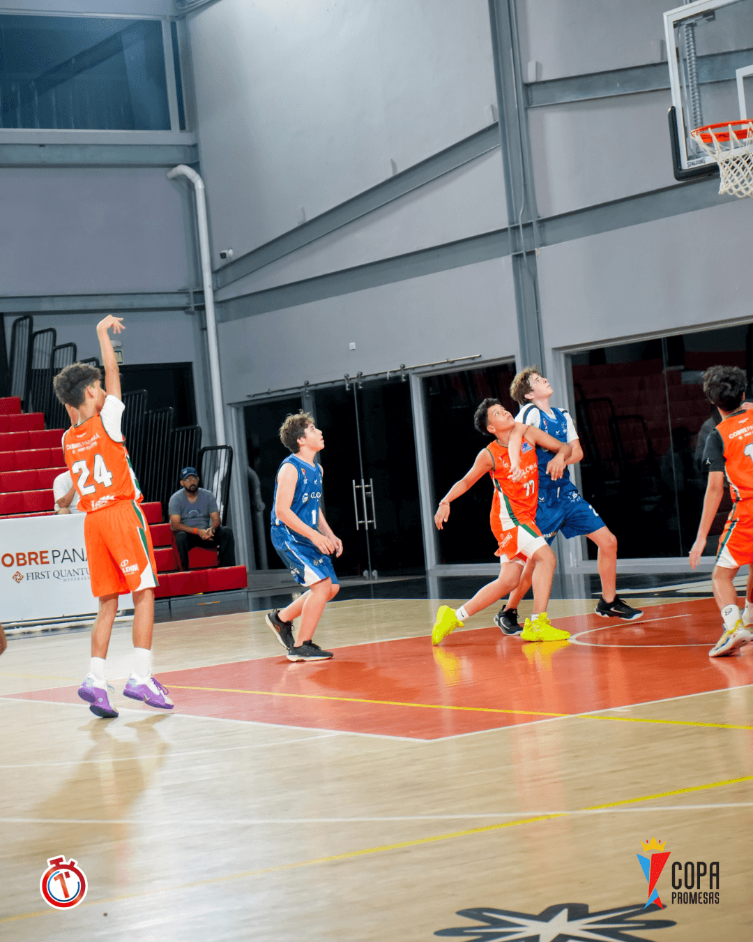 Wild Lynx vs Hawks — foto 5