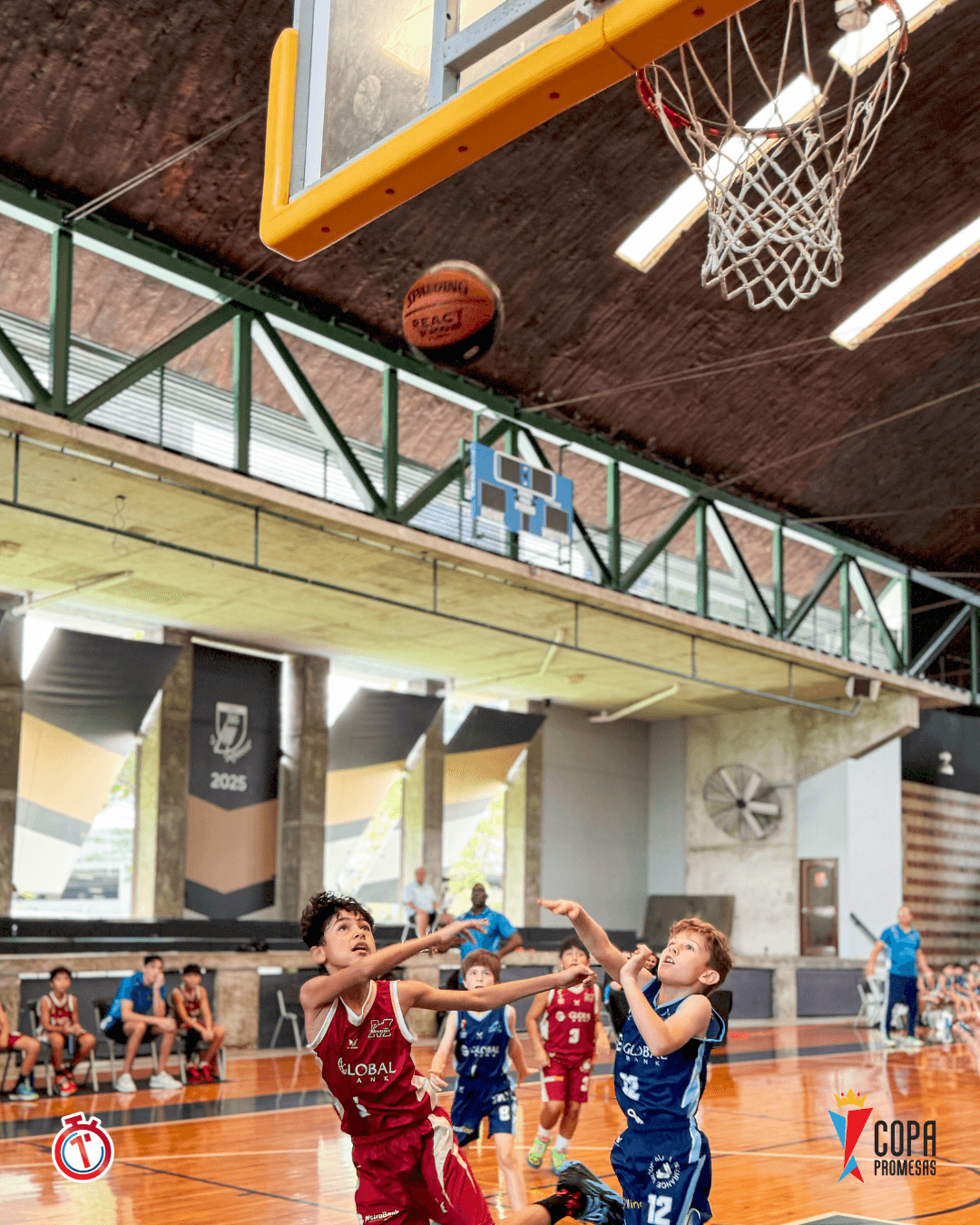 Dragons vs Mustang — foto 6