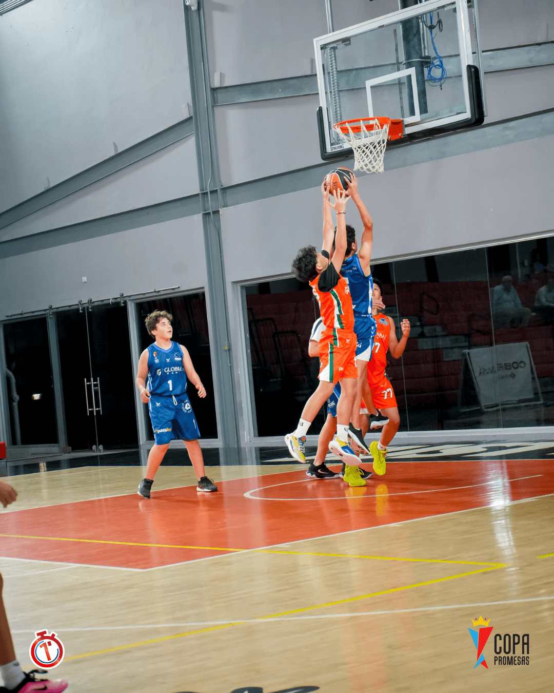 Wild Lynx vs Hawks — foto 7