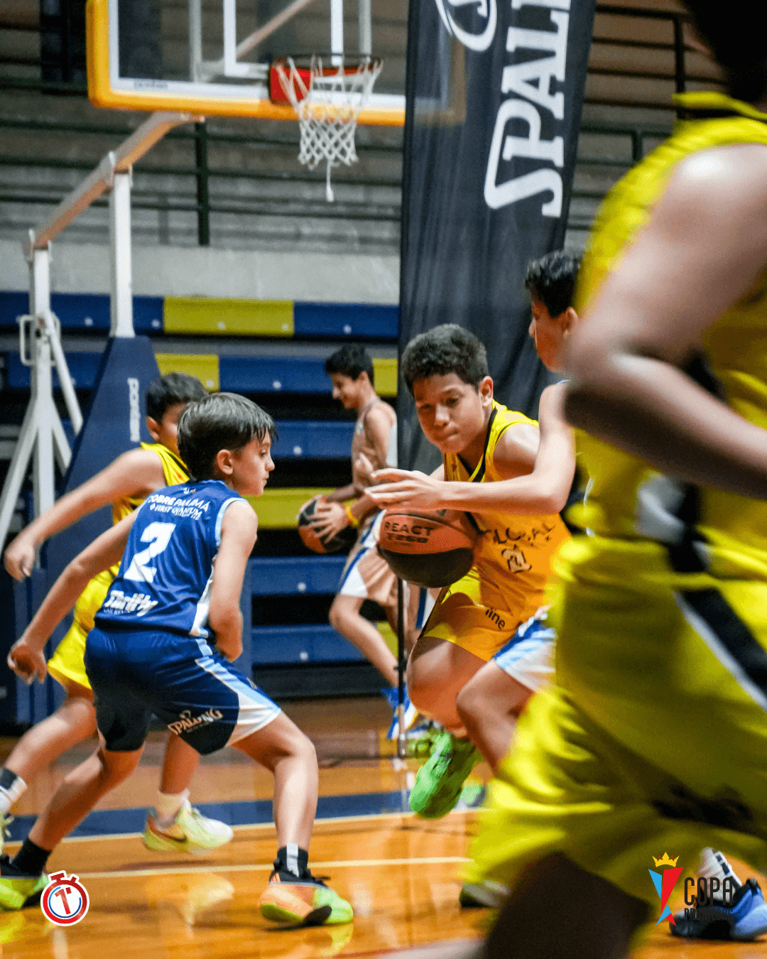 Dragons vs Colegio Javier — foto 7