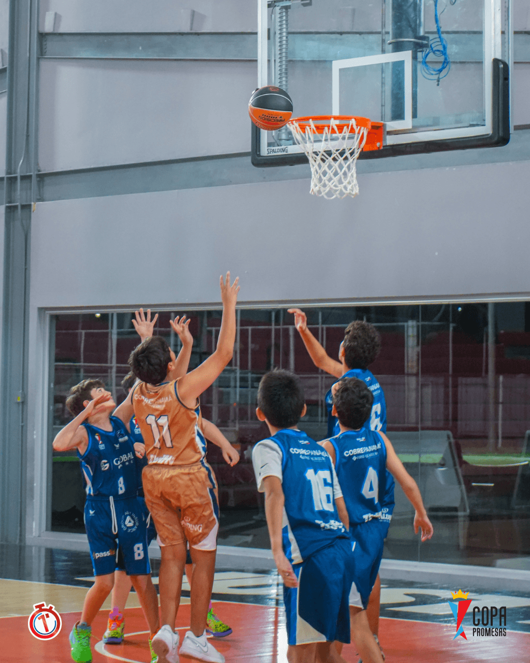 AIP Fighting Owls vs Hawks — foto 9